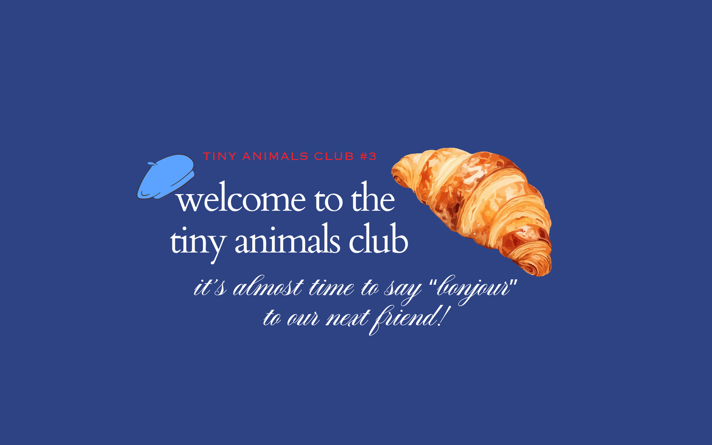 Tiny Animals Club