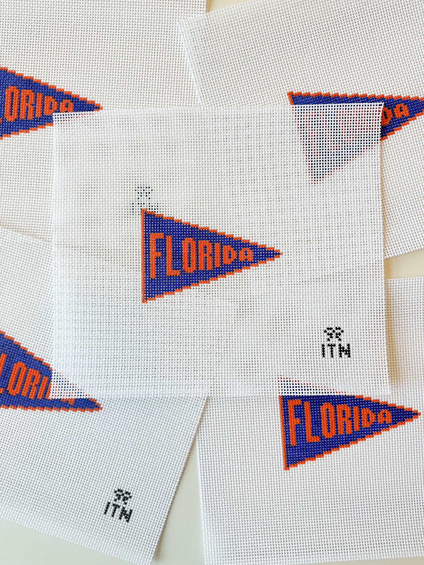 Florida Pennant Banner