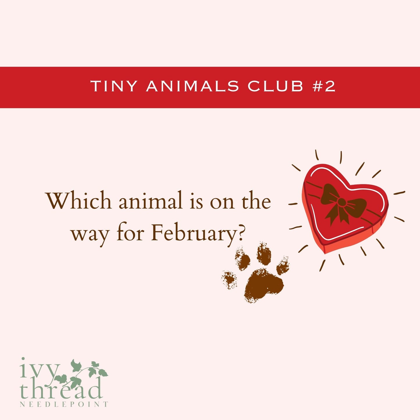 Tiny Animals Club