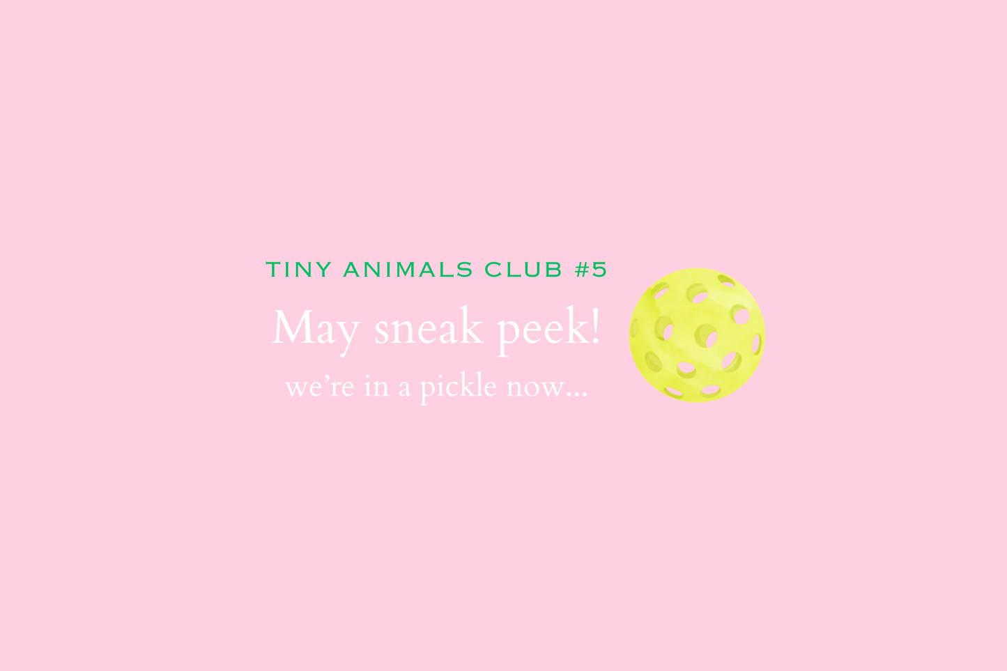 Tiny Animals Club